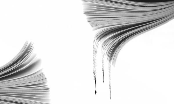 Photograph David Senechal Polydactyle Ink 1 on One Eyeland